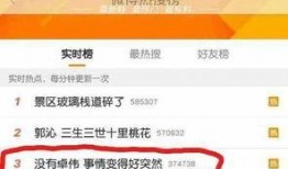 卓伟最新爆料宋慧乔,卓伟最新爆料揭秘