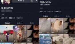 爆料不露脸的视频素材,揭秘不露脸视频背后的秘密