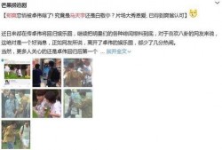 马天宇最新爆料视频,娱乐圈背后的惊人真相